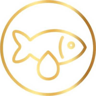 Omega-3 ve Omega-6 Açısından Zengin