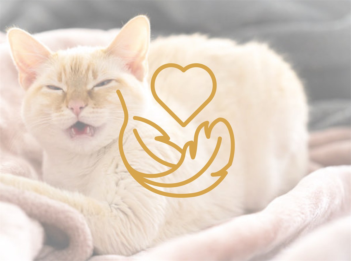 NickyPlus hypoallergenic cat food