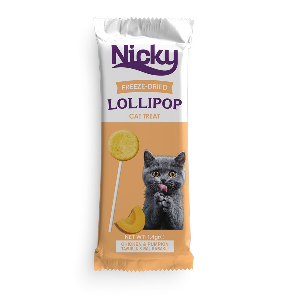 Nicky Pumpkin Lollipop